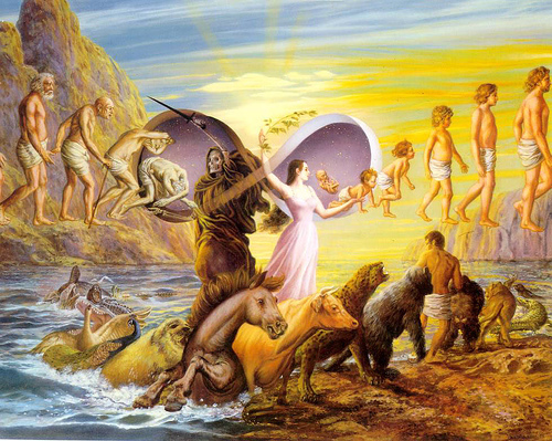 240702837_401556cb82