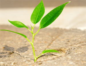 kitartás_omniverzum_spiritualislelekgyogyaszat