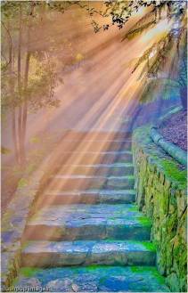 tudas szabadság evolúció