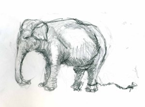 elefánt1