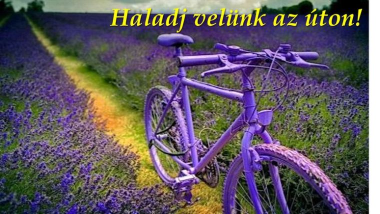 Haladj velünk az uton