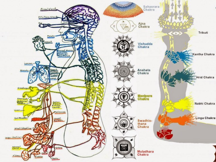 chakras-2-1024x769